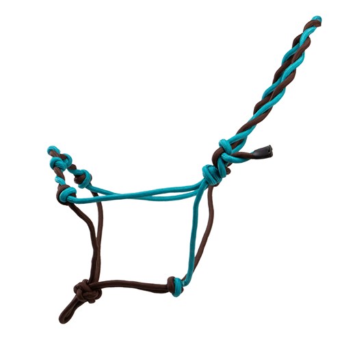 TEX4517 CHOTU-01